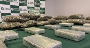 Carabineros decomisa más de 35 kilos de droga durante fiscalización carretera.