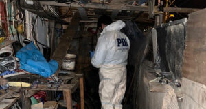 PDI INVESTIGA A HOMBRE DE 82 AÑOS QUE DESCUARTIZO A SU HERMANO DE 75 AÑOS EN COQUIMBO.