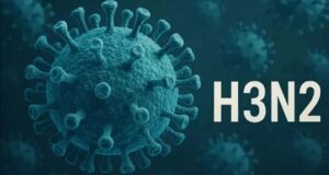 Confirman primer caso de la nueva variante de influenza A (H3N2) en la región del Ñuble.
