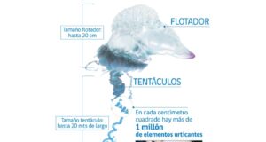 PLAYA AGUA DULCE, CANELA. SEREMI DE SALUD PROHIBE INGRESO AL MAR POR PRESENCIA DE FRAGATA PORTUGUESA.