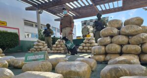 Impecable debut de Spot: cachorro del OS7 detectó el tráfico de más de una tonelada y media de droga