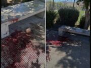 Nuevo caso de estudiante apuñalado en Illapel remece a la provincia del Choapa