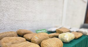Fiscalización carretera permite sacar de circulación más de 14 kilos de marihuana en Choapa.